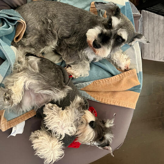 Buffy and Ellie